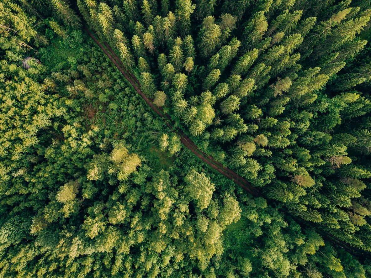 Green Climate Comments: Regulatory Impact of Repeal of the 2001 Roadless Rule